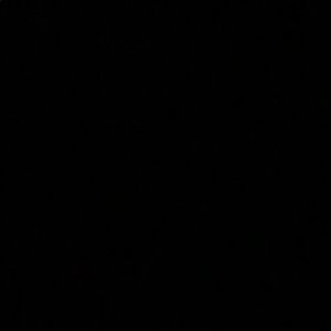 Meet your Posher, Chanel